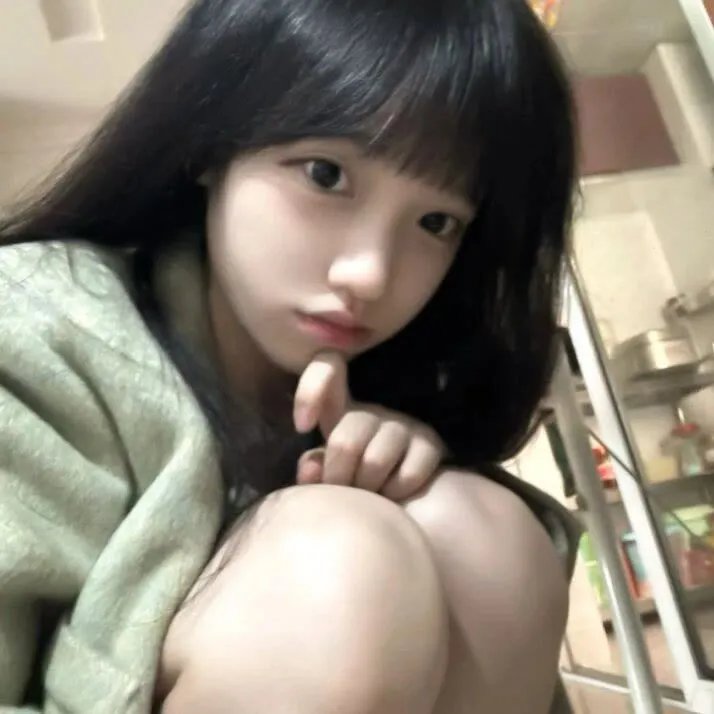 龙骑士4